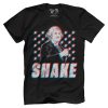 Shake v2