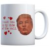 TRUMP I WANT YOU ON MY SIDE KISS - COFFEE MUG