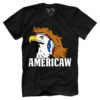 Americaw